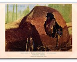 Lumberjacks Fallen Gigante Albero Moore&#39;s Ristorante Portland O Unp DB C... - $18.15