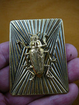 (b-bug-123) small Cockroach roach insect bug lover rectangle brass pin pendant - £18.37 GBP