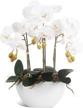 Ziwon Artificial Orchid Flowers Potted In Ceramic Pot, White Faux Phalae... - $59.99