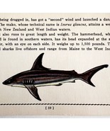 Mako Shark 1939 Salt Water Fish Art Gordon Ertz Color Plate Print PCBG19 - $570.01 MXN
