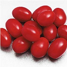 USA Seller Sweet Hearts Tomato Seeds Fast Shipping - $12.80