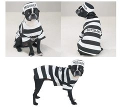 Prison Costume for Dogs Dress Your Pooch as Your Favorite Prisoner Bad D... - £22.65 GBP+