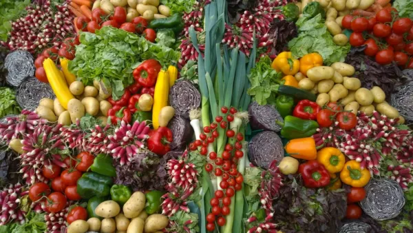 21 500 + Seeds Emergency Survival Bank 42 Variety [ Edible Herbal ] Fresh Garden - £58.32 GBP
