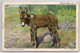 Darling Donkey Wants His Mama Postcard R28 - $9.95