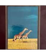 Enduring Treasures 2000 National Geographic Natl Parks Photography Vinta... - $55.73 CAD