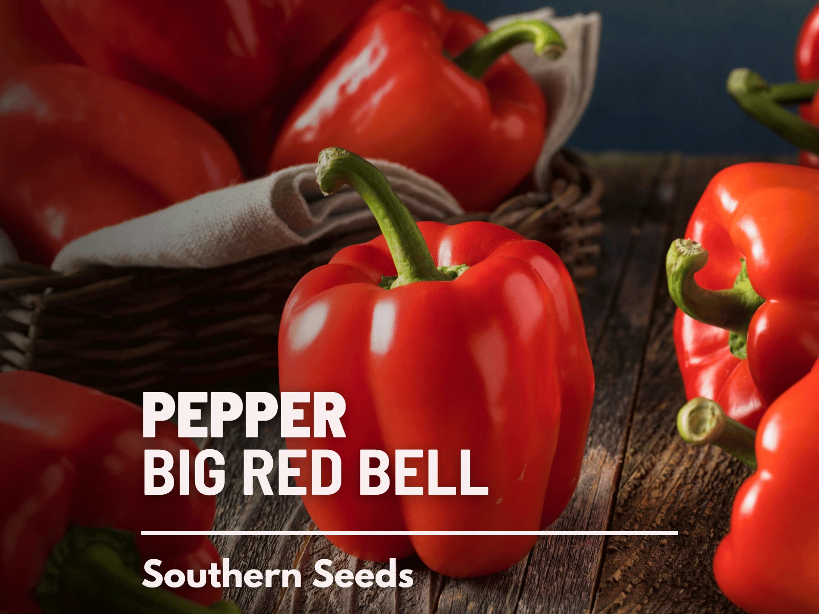 Pepper, Big Red Sweet Bell - 30 Seeds - Easy to Grow - Heirloom - GMO Fr... - $14.82