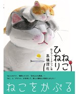 HANDMADE CLAY CATS Japanese Craft Book &quot;hineri neko&quot; - £35.69 GBP