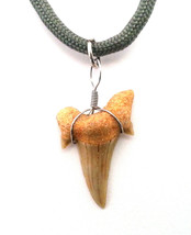 Shark Tooth Fossil Threaded Necklace - £7.85 GBP