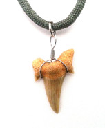 Shark Tooth Fossil Threaded Necklace - $9.99
