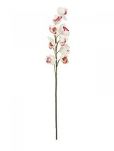 Europalms Cymbidium Branch, Artificial, White-Pink, 90cm - £15.67 GBP