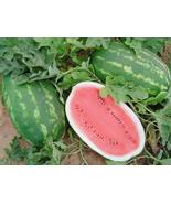 25 Seeds All Sweet Watermelon Descended From Crimson Fruit - $9.85