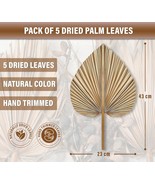Dried Palm Leaves 5 Pieces 17 x 9 Inches Naturally Dried Palm Leaves for D - £29.93 GBP