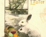 Vtg Postcard 1914 A Happy Easter Bunny Rabbit Egg Basket Hand Colored  - £7.65 GBP