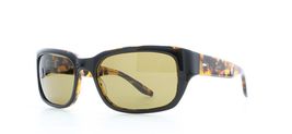 Barton Perreira DUTCHIE Black Tortoise / Vintage Brown Sunglasses BAT VB... - $132.05