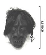4 SHRUNKEN HEAD WITH HAIR shrinking fake small human heads tribe ritual ... - $24.73 CAD