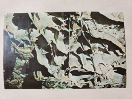 Vintage Postcard - Wind Cave National Park Boxwork Primay Formation-Dexter Press - £11.74 GBP
