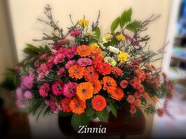 Item image 1 image 1