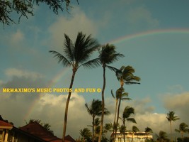 Digital Image Photograph Palm Trees Dancing Rainbow - £0.69 GBP