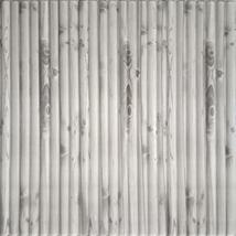 Dundee Deco PJ2212 Off White, Grey Bamboo Shoots 3D Wall Panel, Peel and... - $12.73+