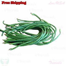 Dark Green Yardlong Bean Asparag Bean Snake Bean Chinese Long Bean Seeds - £4.47 GBP