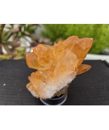 Tangerine Quartz Specimen Natural Crystals Cluster (TN8) - $41.75 CAD