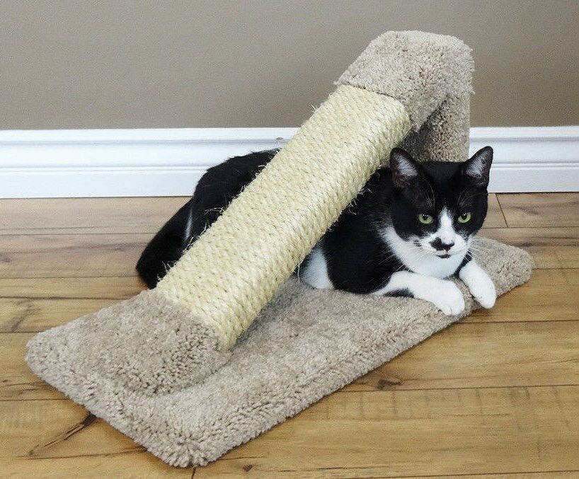 TILTED SCRATCHING POST - FREE SHIPPING IN THE UNITED STATES ONLY - $89.95