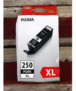 Pixma Canon 250 PGBK XL Ink Tank (Damaged Box) - $11.69