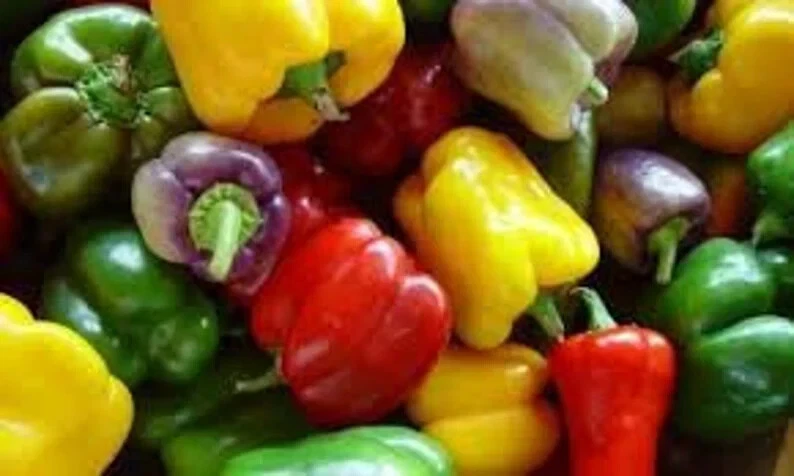 100 Sweet Bell Pepper . Organic. . Ships Seeds – Must-Have for Gardeners - $66.50 MXN