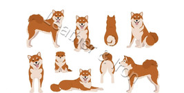 New Shiba Inu Brown and White Dog Vinyl Checkbook Cover Doge - $8.75