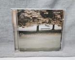 Danny Wright - Soul Mates (CD, 2000, Real Music) - $9.49