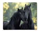 Black Horses Metal Print, Black Horses Metal Poster - $11.90