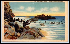 CALIFORNIA Postcard - Santa Catalina Island, Seal Rocks F18 - £2.36 GBP