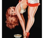 Pinup Girl Sticker Decal Vintage pin up pin-up P162 - £2.07 GBP+