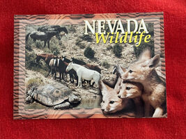 Nevada Wildlife Post Card taken on the Nevada Test Site - $6.64