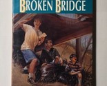 The Mystery at the Broken Bridge Home School Detectives  #6 John Bibee P... - £7.11 GBP