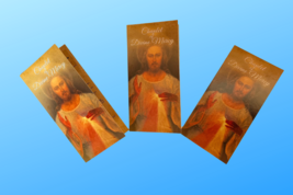 3 Pack Chaplet of Chaplet of Divine Mercy Bifold Prayer Card - £6.93 GBP