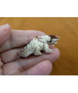 Y-LIZ-IG-30) white baby IGUANA LIZARD carving SOAPSTONE Peru gem FIGURIN... - $11.78 CAD