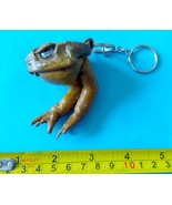 1 Key ring Filipino  frog / cane toad tanned  Philippines Rhinella marina - $9.50