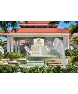 V.I.P. Tropical Suite - Puerto Plata Dominican Republic Resort - Price p... - £33.96 GBP