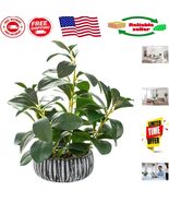 Lifelike Artificial Succulents in Rustic Black Clay Planter - 12.8&quot; Home... - €49,65 EUR