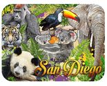 San Diego Zoo Fridge Magnet - $8.99