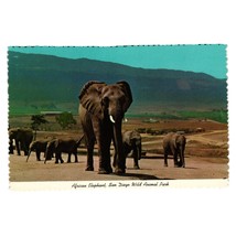 Vintage Postcard African Elephant San Diego Wild Animal Park ZW.24 - £7.71 GBP