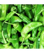 SEPTH Anaheim Pepper Seeds Capsicum Annuum B138 - $11.52 CAD
