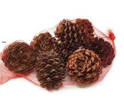 A TOUCH OF COUNTRY MAGIC Cinnamon Scented Pinecone, 1 Bag Fall Decor - $13.98