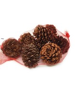 A TOUCH OF COUNTRY MAGIC Cinnamon Scented Pinecone, 1 Bag Fall Decor - €11,99 EUR