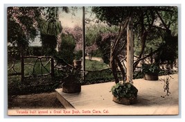 Veranda Around Great Rose Bush Santa Clara CA California UNP DB Postcard W4 - £4.60 GBP
