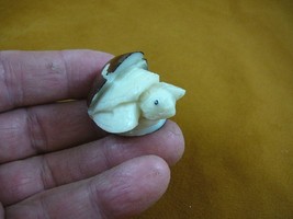 (TNE-T-SEA-519-B) baby Sea Turtle hatching TAGUA NUT Figurine carving Vegetable - £17.45 GBP