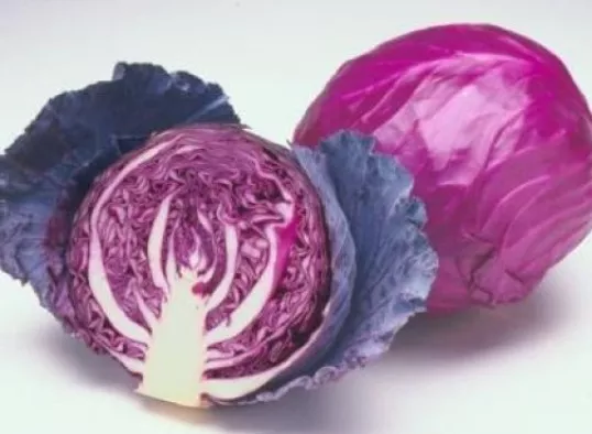 25 FRESH CABBAGE RED ACRE SEEDS  - £4.13 GBP