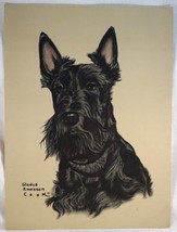 Vintage Print by Gladys Emerson Cook Scottish Terrier Scottie Dog 12 by 16&quot; - £32.16 GBP
