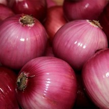 Red Grano Onion Seeds 200 Mild Short Day Vegetable Heirloom Usa Fresh Garden - $7.08